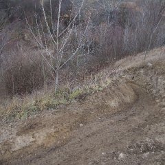 IMG 726